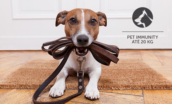 Segurança para sua casa e tranquilidade para seu Pet