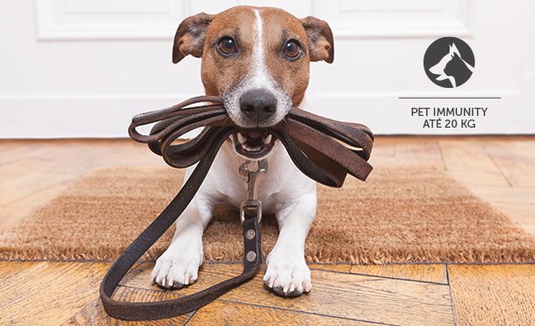 Mais segurança para seu pet