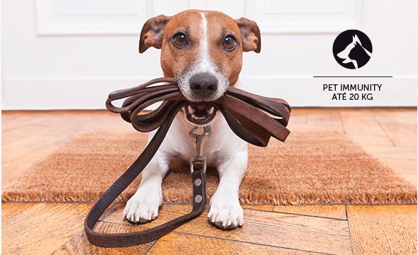 Segurança para seu Pe